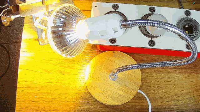 電燈泡內通有交流電，為什么看不到燈泡在閃爍？